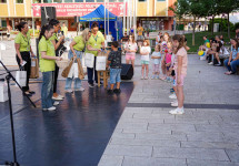 dsc01336.jpg