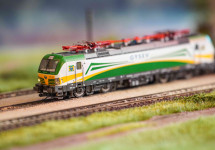 ter07113.jpg