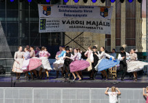 dsc00020.jpg