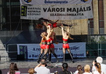 dsc00084.jpg