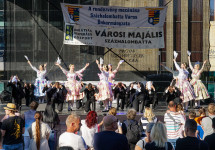 dsc00517.jpg