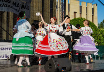 dsc00565.jpg