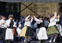 dsc09992.jpg