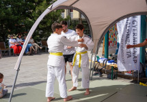 dsc00315.jpg