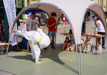 dsc00320.jpg