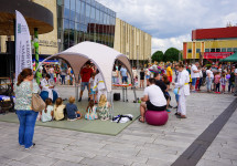 dsc00386.jpg
